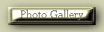 Photo Gallery