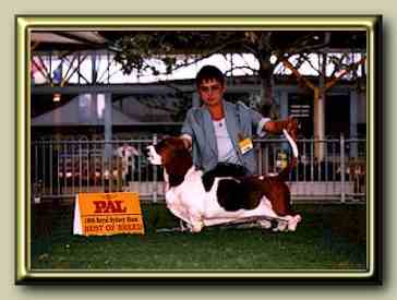 Magic Best of Breed Sydney Royal