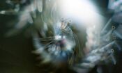 Design kinetic model - close up