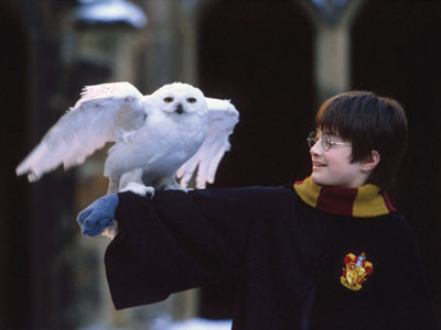 Harry and his owl, Hedwig