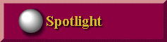 Spotlight