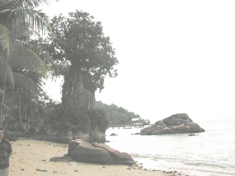anambas