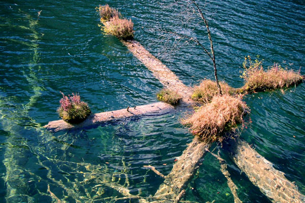 00020029