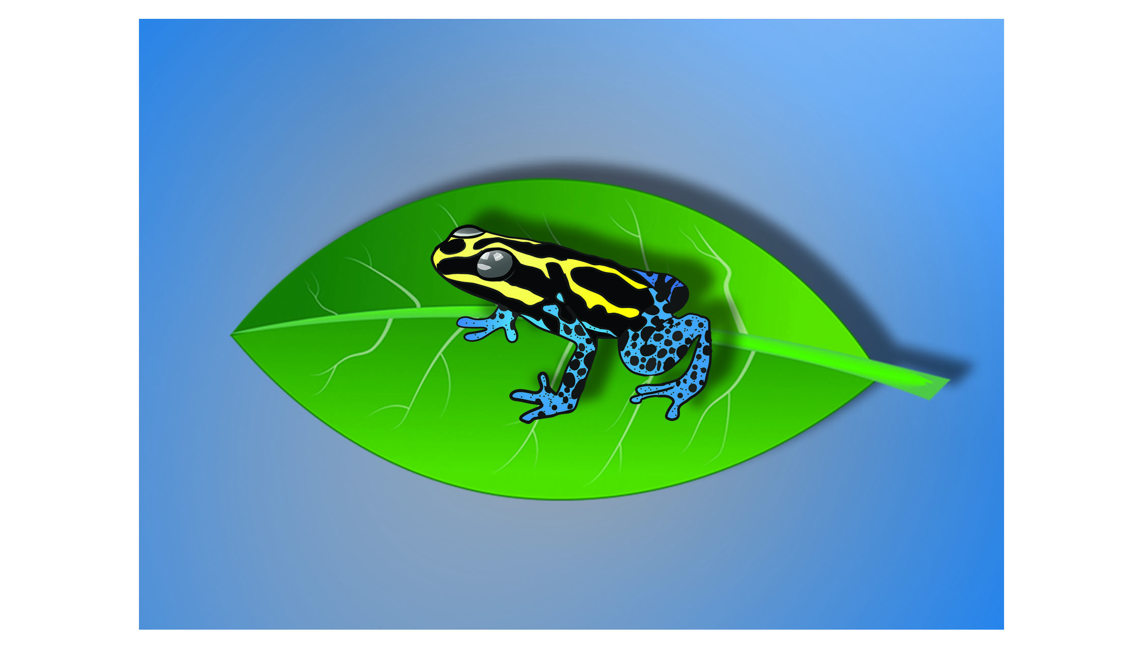 Thumbnail Image 1