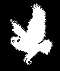 Owls