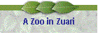 A Zoo in Zuari