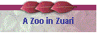 A Zoo in Zuari