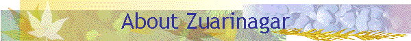 About Zuarinagar