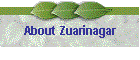 About Zuarinagar