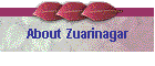 About Zuarinagar