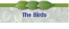 The Birds