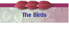 The Birds