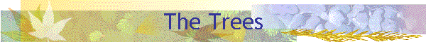The Trees
