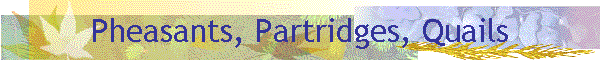Pheasants, Partridges, Quails