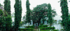 wpe77147.gif (234608 bytes)