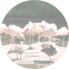 Bronx Zoo