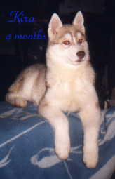 /user/Kira4months.jpg