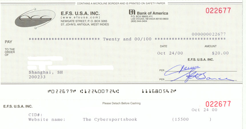 thesybersportsbook.jpg (64145 bytes)