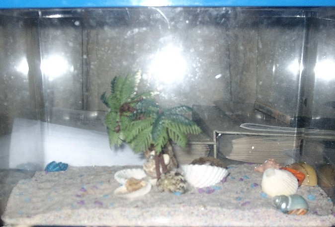 tank from side view