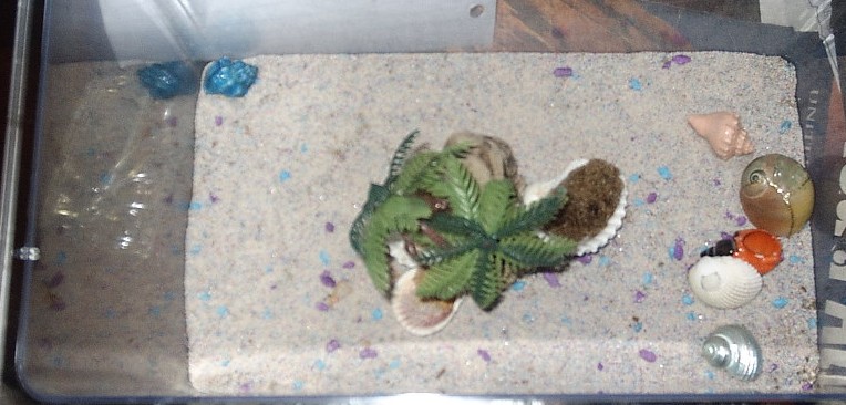 tank from top view