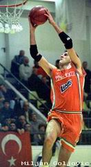 Miljan Goljovic