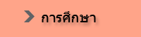 การศึกษา