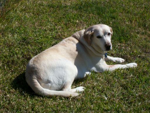 Baylee
