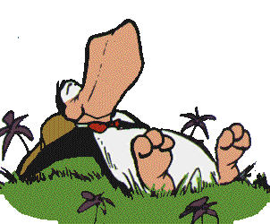 The bestest penguin ever was: Opus.