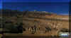 mystic21.jpg (124477 bytes)