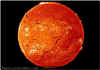 space10.jpg (41401 bytes)