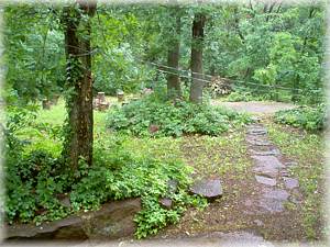 H&aacute;ts&oacute; kert, Garten hinten, Rear Garden