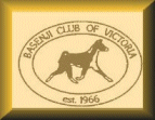 BASENJI CLUB OF VICTORIA
