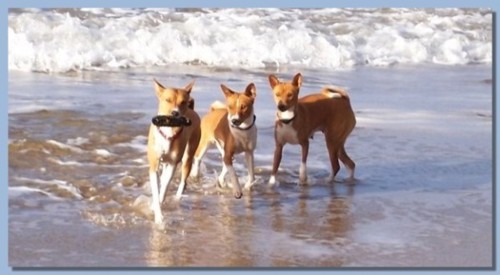 Fun at the beach!