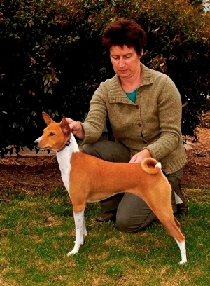 Opposite State Bred In Show