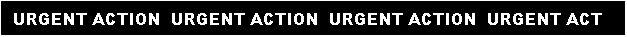 Text Box: URGENT ACTION * URGENT ACTION * URGENT ACTION * URGENT ACTION

