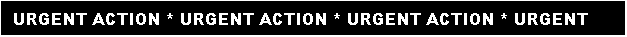Text Box: URGENT ACTION * URGENT ACTION * URGENT ACTION * URGENT ACTION

