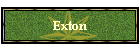 Exton