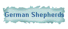 German Shepherds