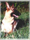Trails Ends Keesha a.k.a. Kish