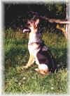 Trails Ends Keesha a.k.a. Kish