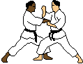 kumi.gif (5529 bytes)