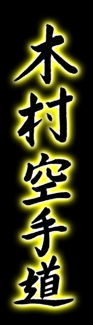 Shukokai Karate