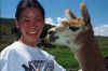 http://www.geocities.com/karatncelery/Springbreak2001/llama.jpg (44472 bytes)