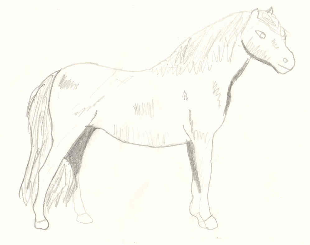 Horse