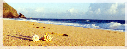 Frigate Bay St. Kitts