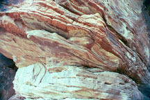 Alligator Rock