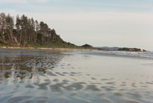 Chesterman's Beach
