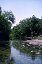 Suwanee River, Florida
