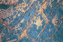 Turtle People Pictograph