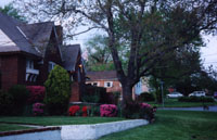 Houses